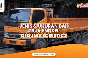 Jenis dan Ukuran Bak Truk Engkel di Dunia Logistics