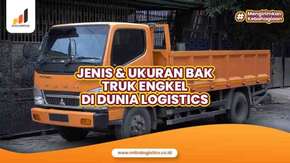 Jenis dan Ukuran Bak Truk Engkel di Dunia Logistics