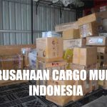 Perusahaan Cargo Murah Di Indonesia