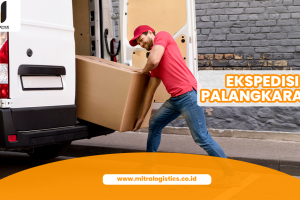 Jasa Ekspedisi Palangkaraya Murah.