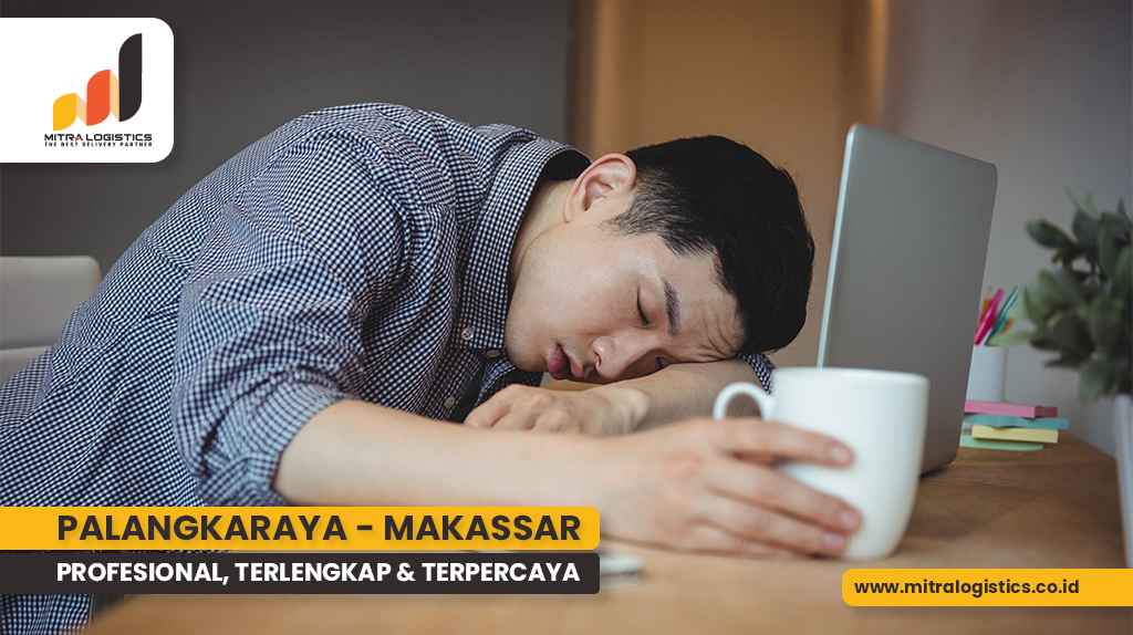 ekspedisi palangkaraya makassar