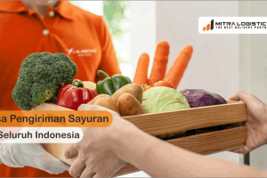 Jasa Pengiriman Sayuran Ke Seluruh Indonesia