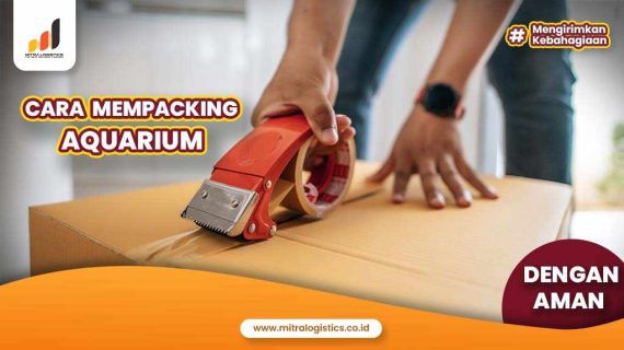 Cara Packing Aquarium Dalam Proses Pengiriman
