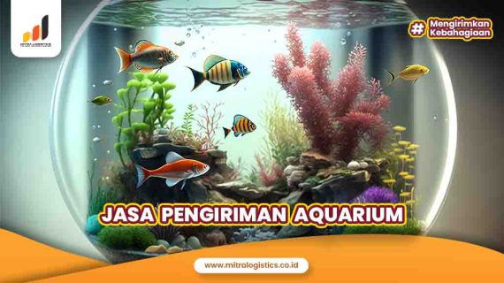 Jasa Pengiriman Aquarium Aman, Anti Pecah Belah!