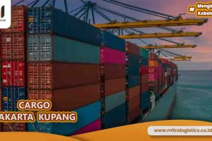 Cargo Jakarta Kupang Dengan Tim Professional