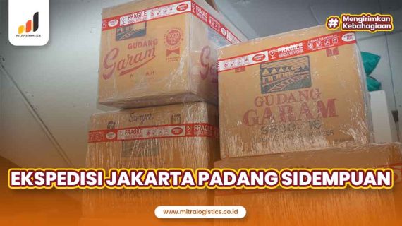 Ekspedisi Jakarta Padang Sidempuan Dengan Budget Terjangkau