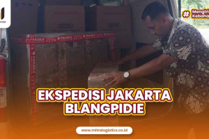 Ekspedisi Jakarta Blangpidie Layanan Terbaik