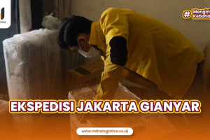 Ekspedisi Jakarta Gianyar Terbaik