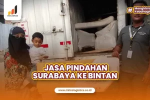 Jasa Pindahan Surabaya Bintan Cepat dan Aman