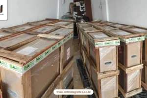 7 Cara Kirim Barang Port to Port, Jangan Sampai Salah!