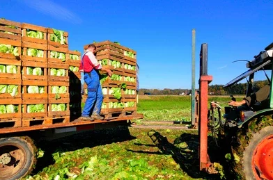 Logistik Sektor Agrikultur dan Perkebunan